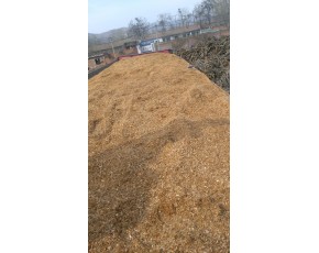 长期供应优质食用菌木屑