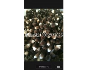 黑鸡枞菌鲜菇大量上市每斤18-28元