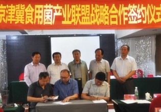 快讯：京津冀三地食用菌产业联盟签署战略合作协议