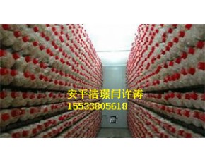 杏鲍菇养菌房网格