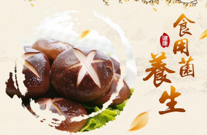 食菌养生