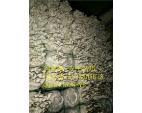 平菇网格