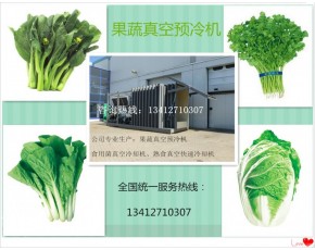 云南晋城食用菌蔬菜真空预冷机农产品保鲜加工设备