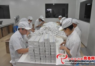 浙江：方格药业鸡腿菇胶囊投入批量生产