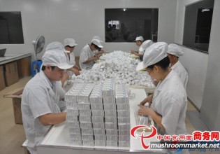 浙江：方格藥業(yè)雞腿菇膠囊投入批量生產(chǎn)