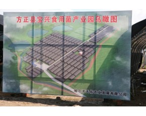 黑龙江猴头菇长期供应-中国首家绿色富硒