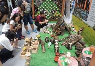 黑龍江：“家庭生態(tài)蘑菇園”閃耀森博會(huì)