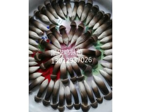 黑鸡枞菌鲜菇大量上市每斤18-23元