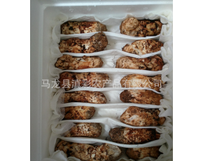 云南香格里拉野生新鲜松茸3-5规格