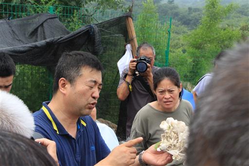 北京市农技推广站开展林下栗蘑出菇管理现场培