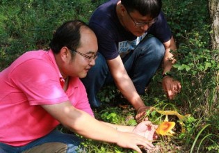 山西：农科院食用菌所科研人员赴和顺县采集野生食用菌资源