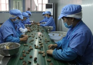河南：三門峽擴大優質食用菌產品出口 食用菌出口逆勢增長