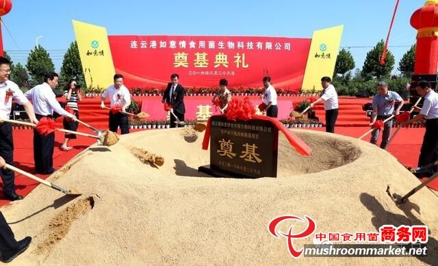 江蘇：連云港如意情日產40萬瓶珍稀菌菇項目正式開工建設