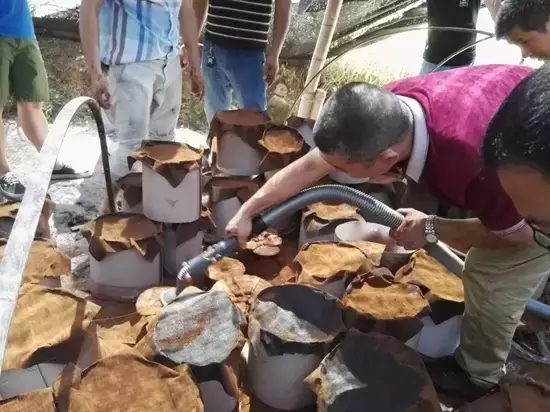 浙江：姚市凱鵬電器廠研發出新型靈芝孢子粉分期收集器