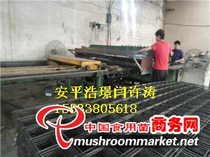 蘑菇网片厂商