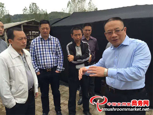 贵州:道真县县委书记刘东明率领团队到湖北食
