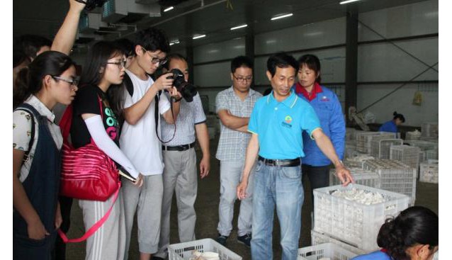 江苏：南京农业大学支农团队到灌南县调研食用菌产业