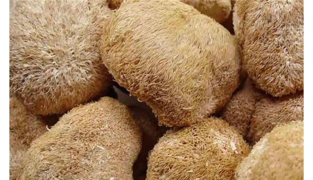 黑龙江：“精耕细作” 海林市将构筑猴头菇全产业链条