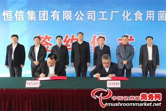 山东：恒信集团总投资7亿元工厂化食用菌项目在邹城签约