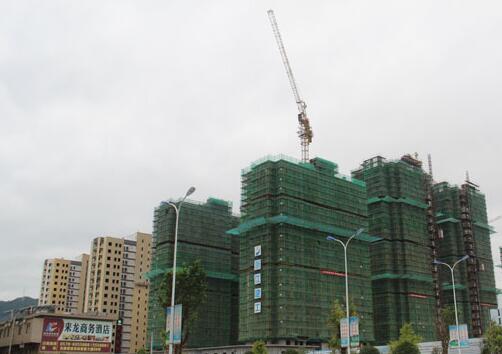 浙江：庆元香菇市场迁建及物流中心项目加快建设进度