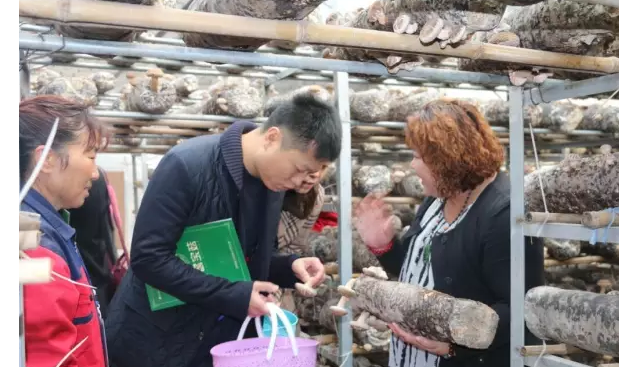 河南：省旅游質(zhì)檢所副所長孫偉一行考察昌盛香菇基地