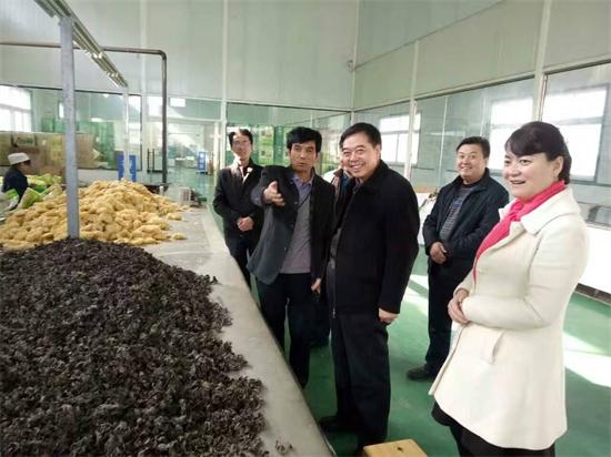 甘肃：陇南市领导到康县兴源土特产公司调研指导工作