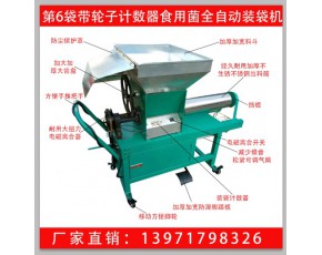 第六代食用菌全自动装袋机价格 香菇装袋机 木耳平菇装袋机厂家