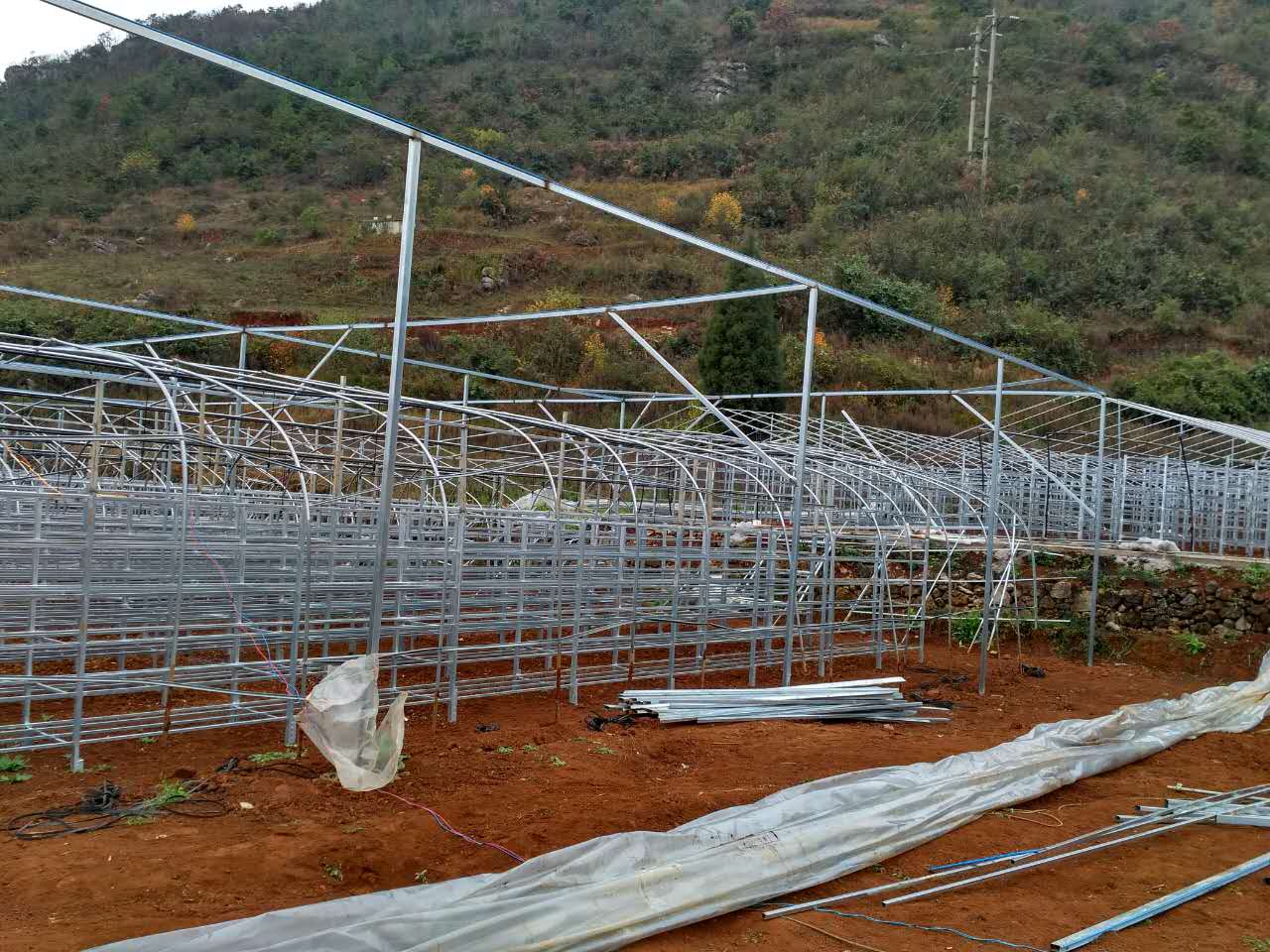 貴州：興義市匯源森農業公司加快珍稀食用菌基地建設
