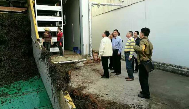 福建：九湖食用菌研究所获评“漳州市农业产业化龙头企业”