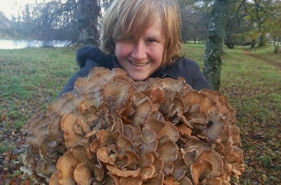 苏格兰：发现重约8.3千克野生灰树花