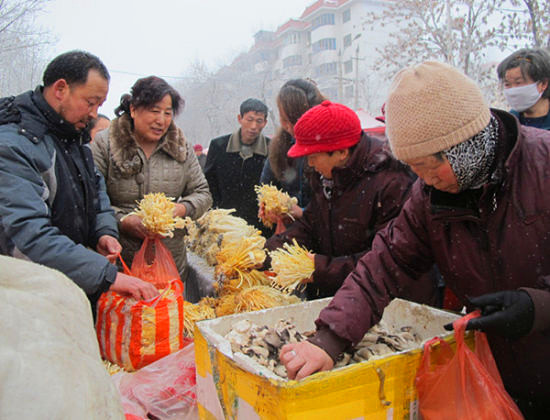 新疆：第八師一四三團職工利用農閑季節(jié)培育食用菌實現(xiàn)增收