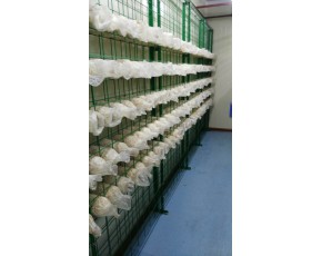 集装箱模块菌菇工厂