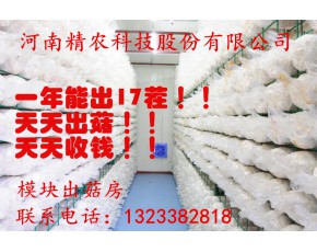 精农出菇房