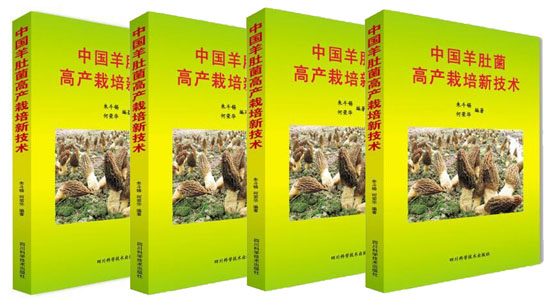 快讯：大型羊肚菌栽培科普巨著《中国羊肚菌高产栽培新技术》即将出版