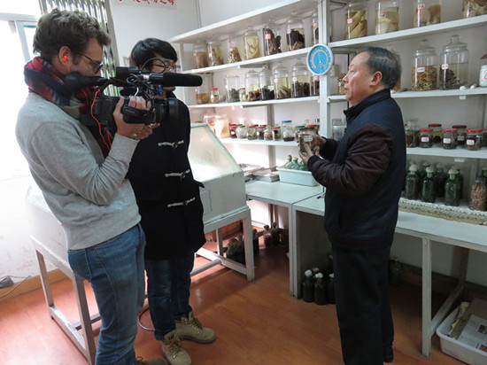 四川省綿陽食用菌協會：法國國家電視臺赴綿陽采訪中國羊肚菌專家