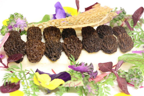 中國羊肚菌產業大會珍稀食用菌美食品鑒會在湖北松滋舉辦
