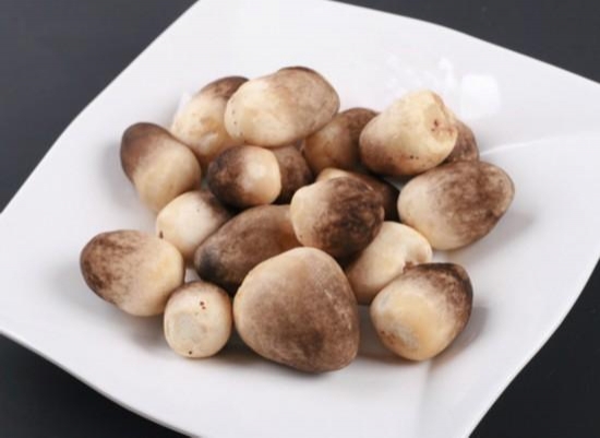 常见食用蘑菇种类及美图
