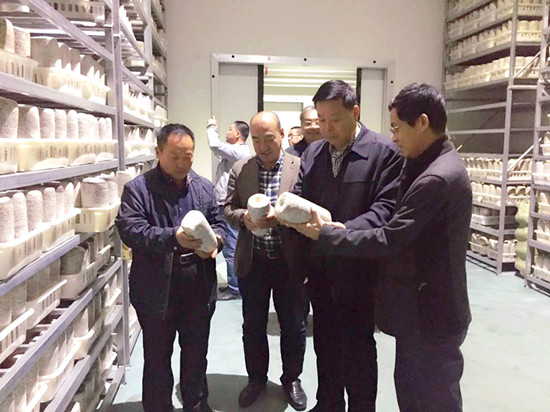 李玉春一行赴黑龍江省尚志市考察黑木耳產業發展情況