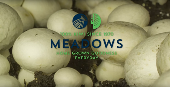 新西兰：Meadow Mushrooms公司走食用菌可持续发展道路