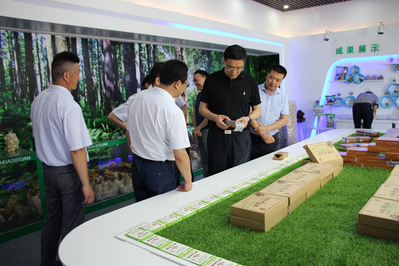 陜西：漢中三道中瑞生態食用菌等產業扶貧項目迎來調研指導