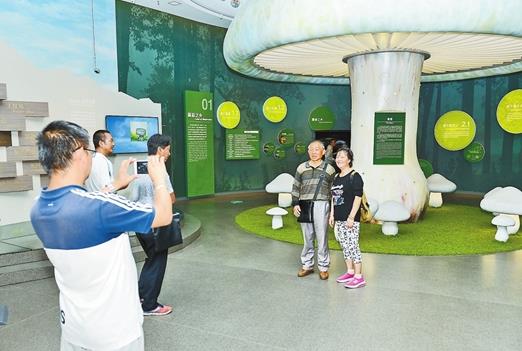 云南：玉溪易门野生菌博物馆开馆