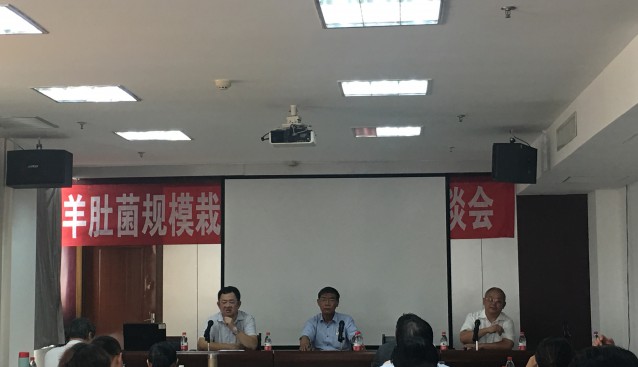 河北：迁西县召开北方羊肚菌规模栽培稳产高效座谈会