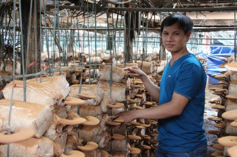 越南：大学生返乡发展食用菌种植