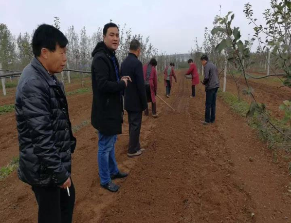 河南：焦作駐村書記陳全會到九龍公司基地參觀學習羊肚菌種植