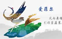 爱菲尔专题页