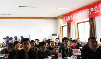 山西：臨縣香菇產業發展專題培訓班在山西農業大學舉辦