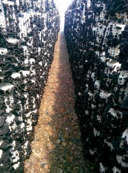 黑龍江：漠河縣食用菌基地探索轉型發展之路