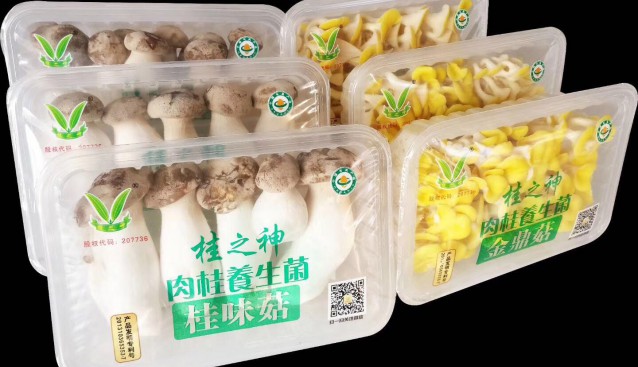 广东：桂之神食用菌产品喜获广东省名牌产品称号