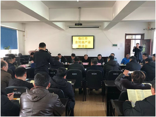 吉林：临江市召开食用菌产业推进会