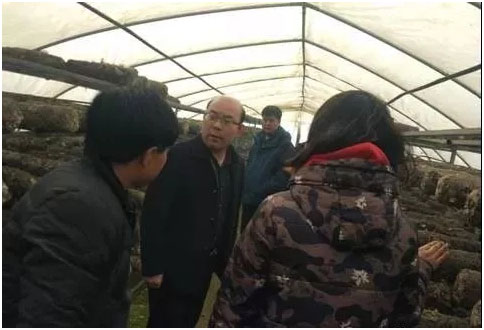 陕西：淳化宣传部组织贫困户观摩学习香菇种植